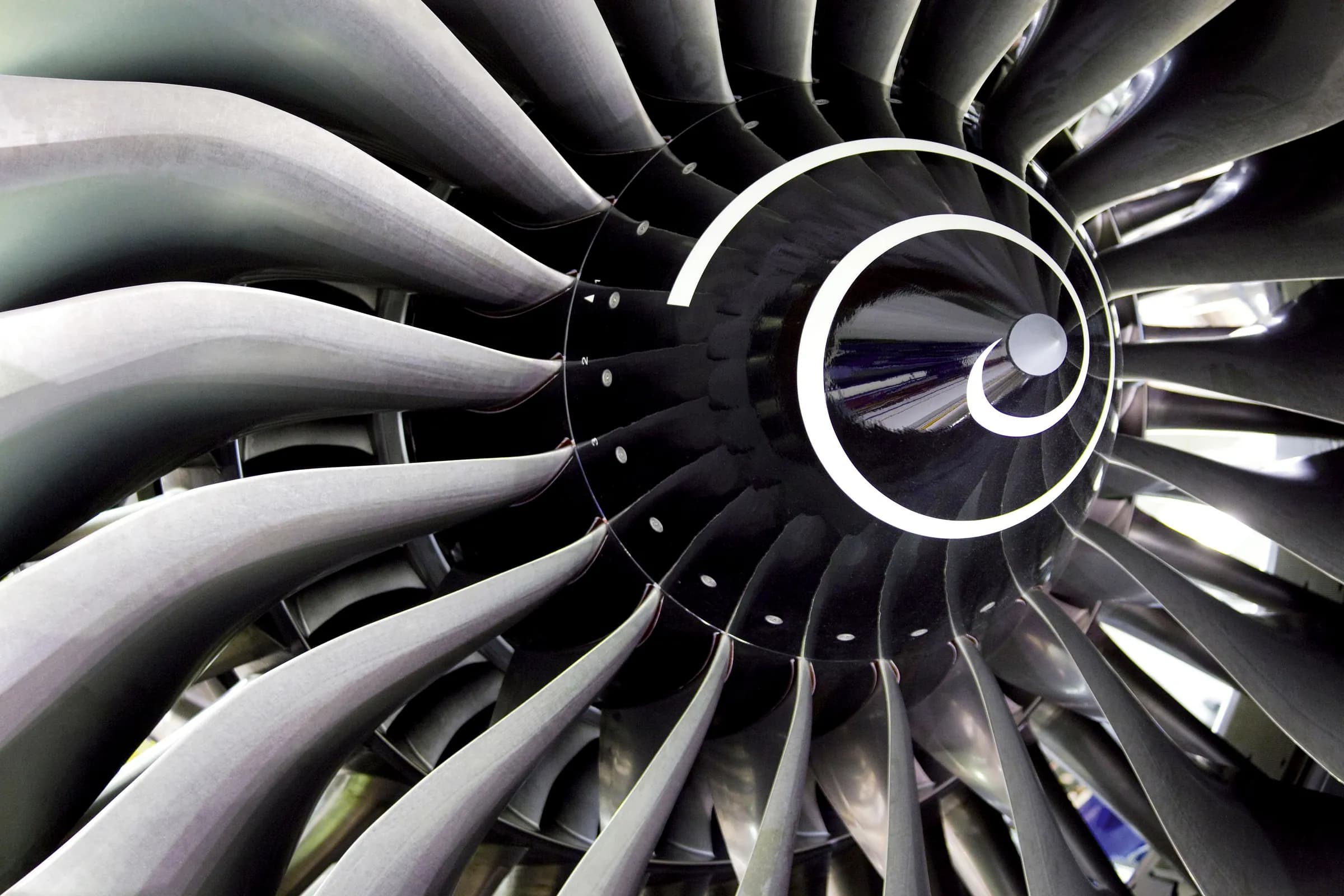 Polished engine fan blades seen head-on